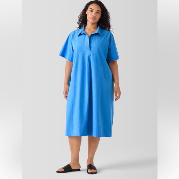 NWT Eileen Fisher Washed Organic Cotton Poplin Dress - Picture 5 of 6